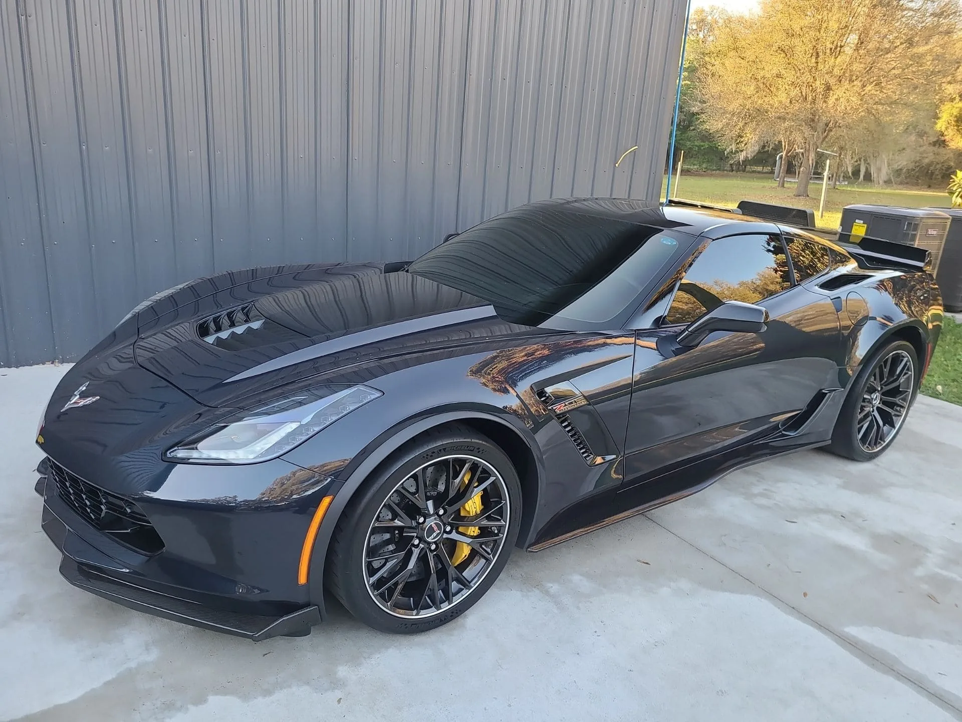 Does ceramic coatings protect against bird droppings? Tim's Pro Auto Spa