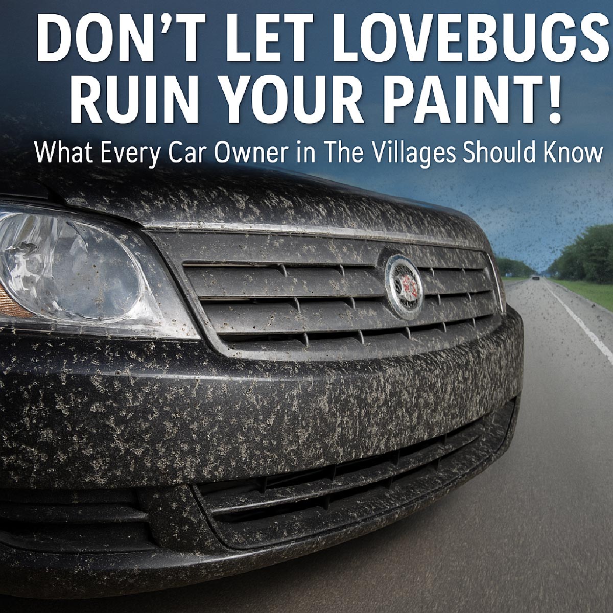 lovebugseason fl