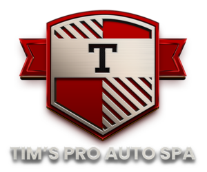 tims pro 3d logo